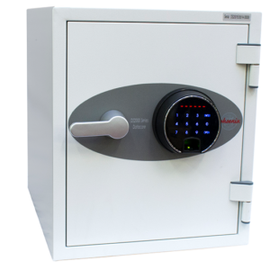 Phoenix Datacare DS2001F Größe 1 Datensafe mit Fingerabdruckschloss