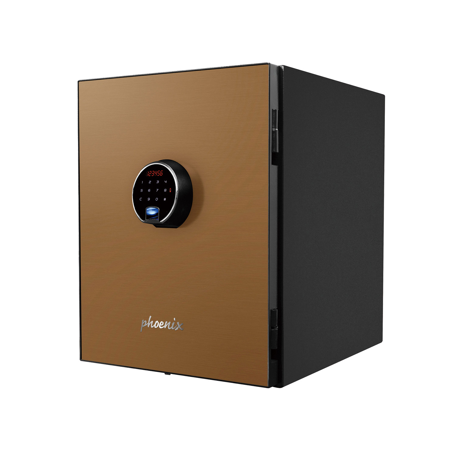 LS6011FG-1.jpg