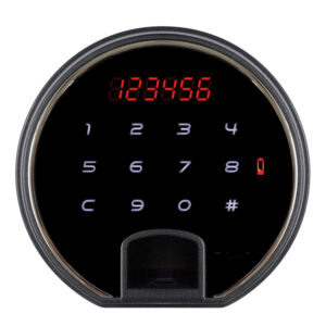 LS6011FG-12.jpg