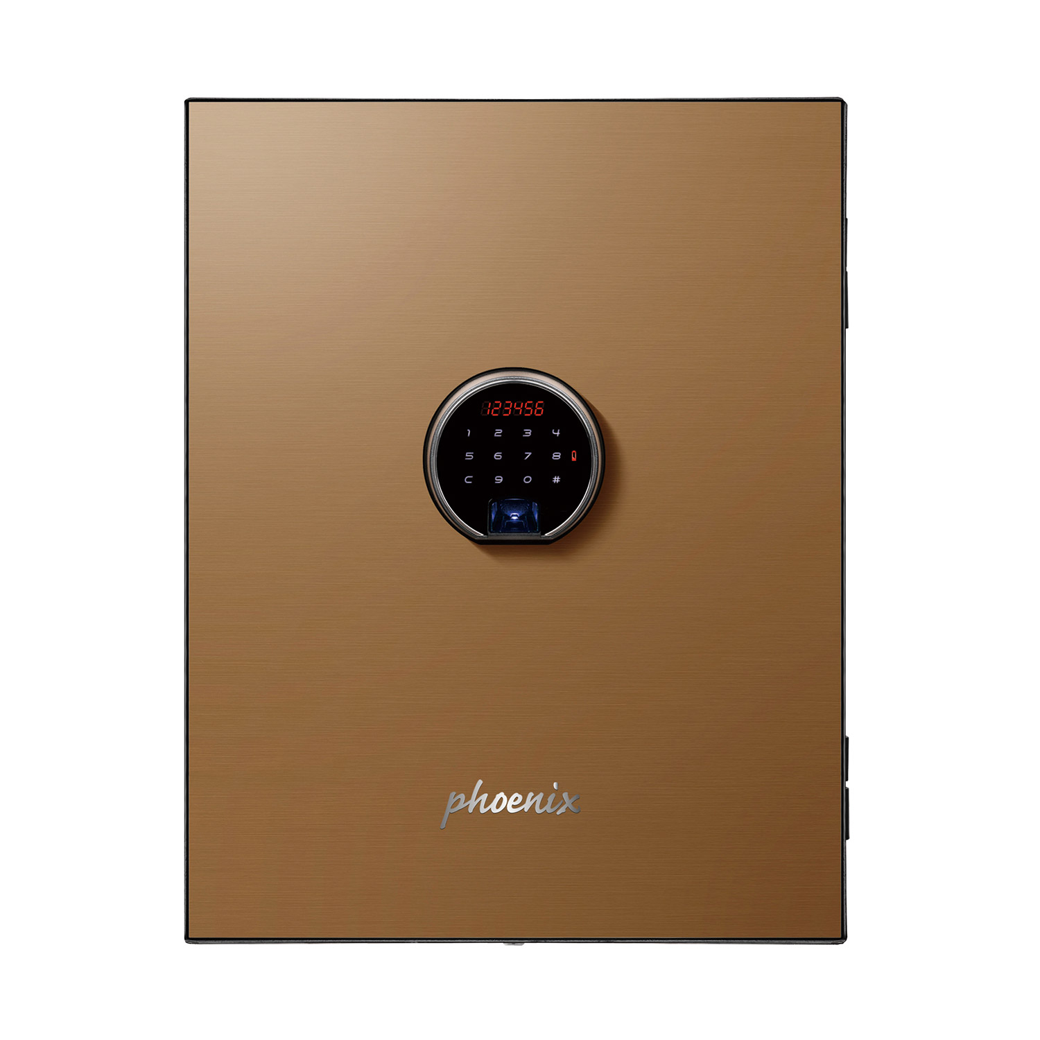 LS6011FG-2.jpg
